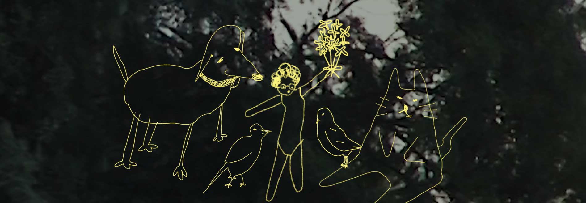 Hablar con el paisaje: La (video) poesía como forma de atención