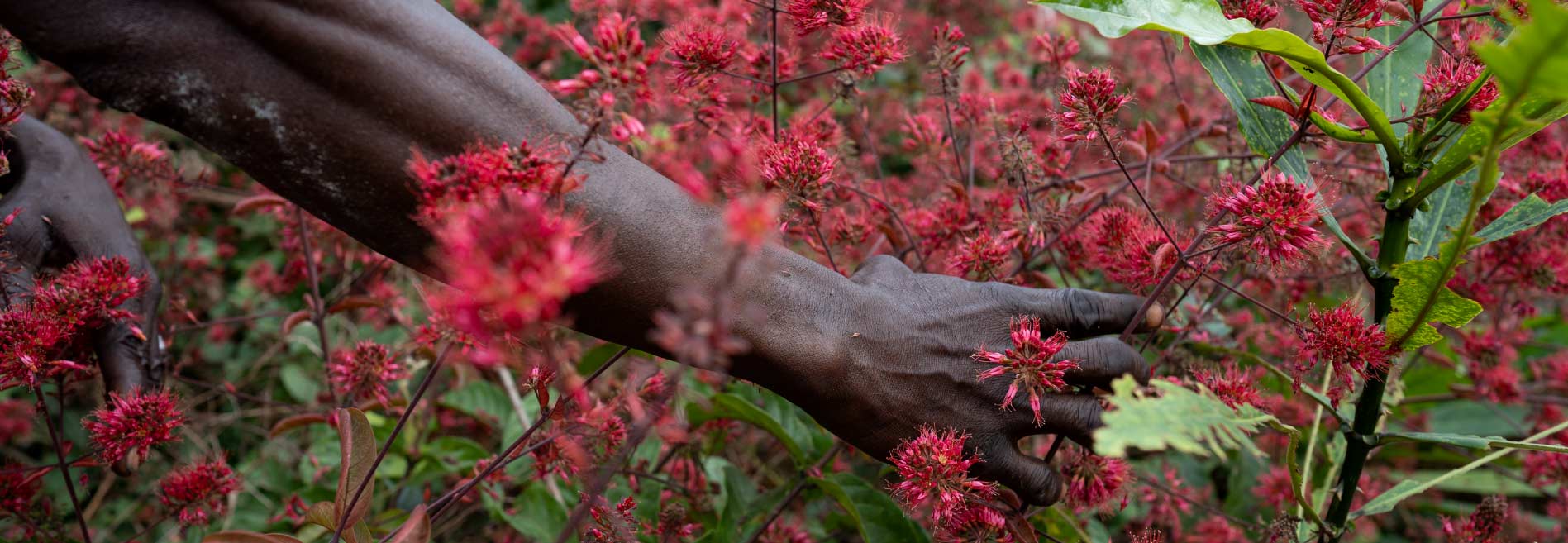 Memoria, Identidad y Territorio. Contranarrativas desde la Fotografía