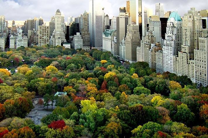 Guardianes de Xavier Mascar Es en Tijuana