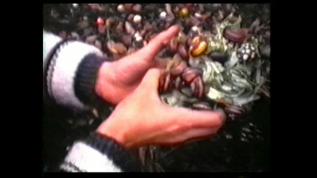 Les Recerques de Fina Miralles Super 8 Film 19731976