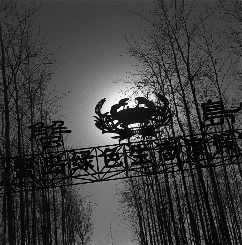 De donde no se vuelve