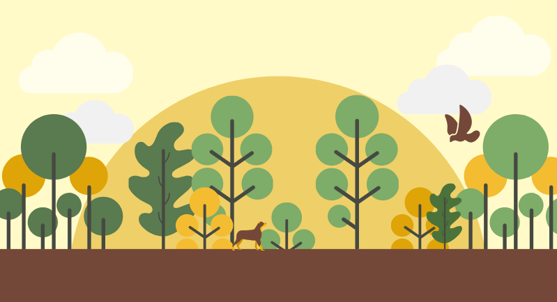 Descubro y conservo nuestra biodiversidad