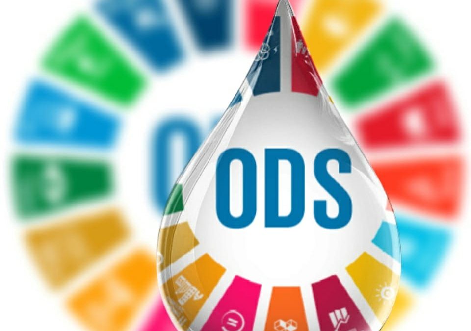 Cultura para un desarrollo sostenible