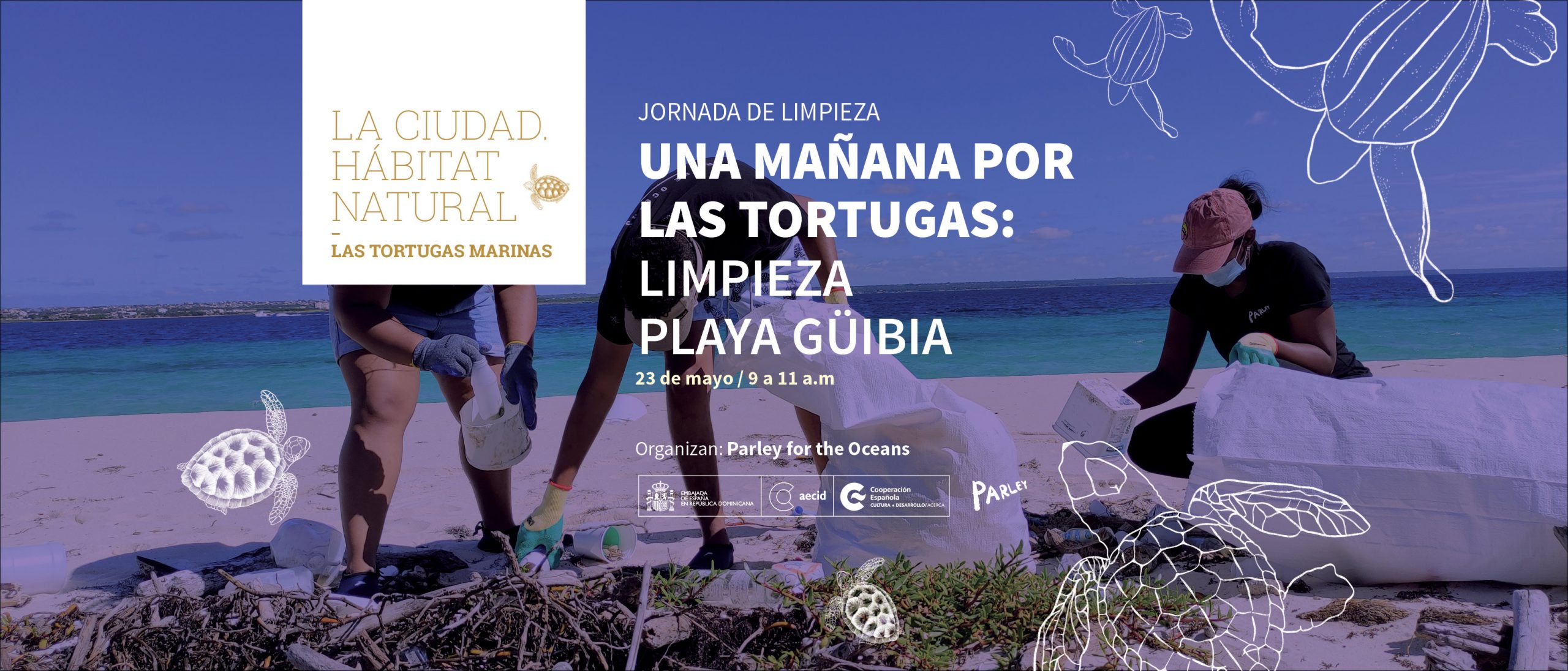 Una maana por las tortugas limpieza de Playa Gibia