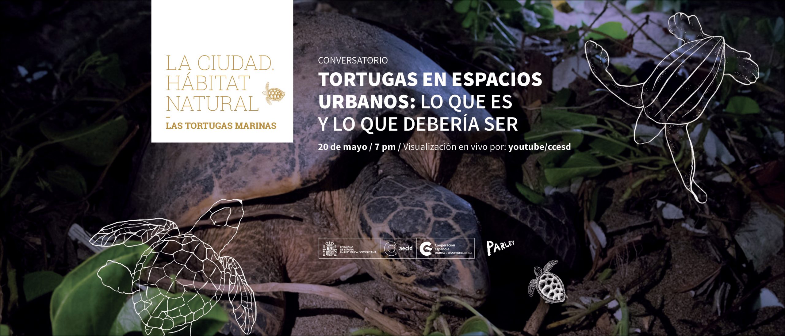 Tortugas en espacios urbanos lo que es y lo que debera ser