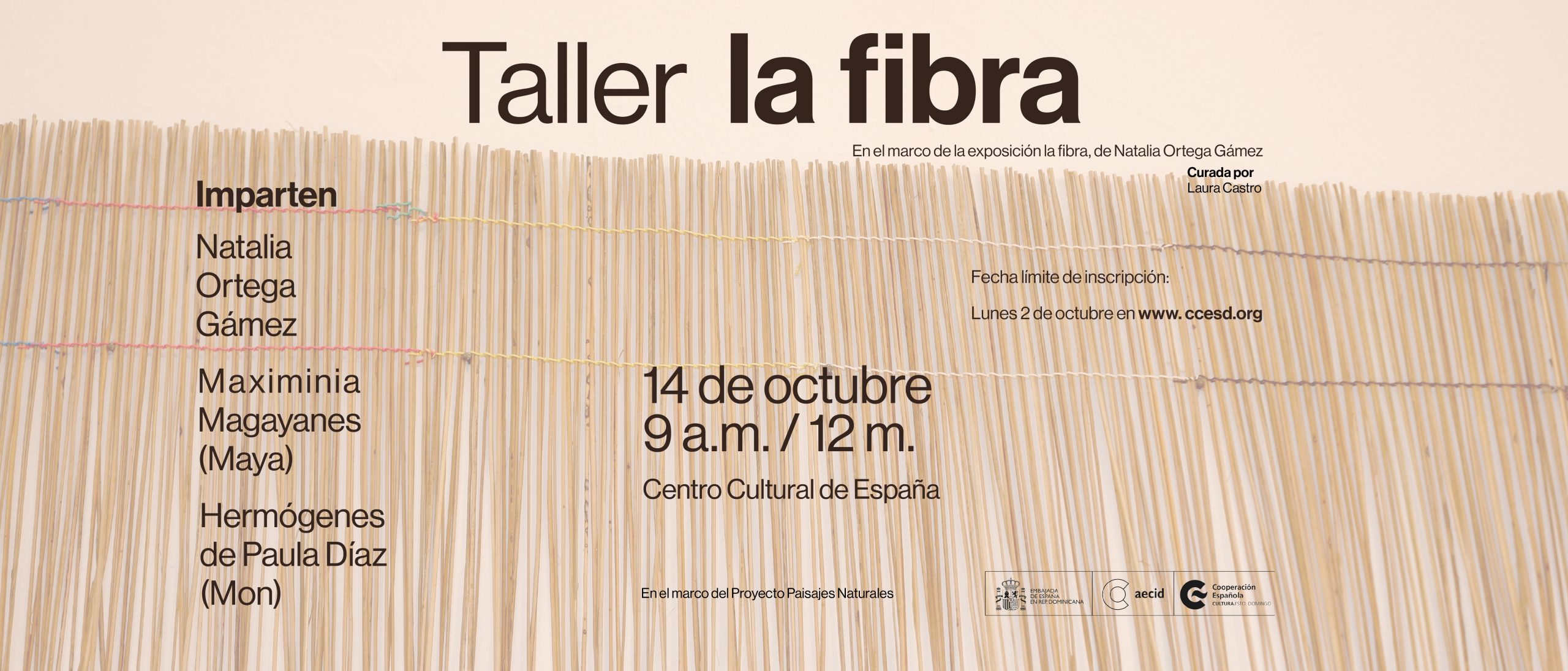 Taller La fibra