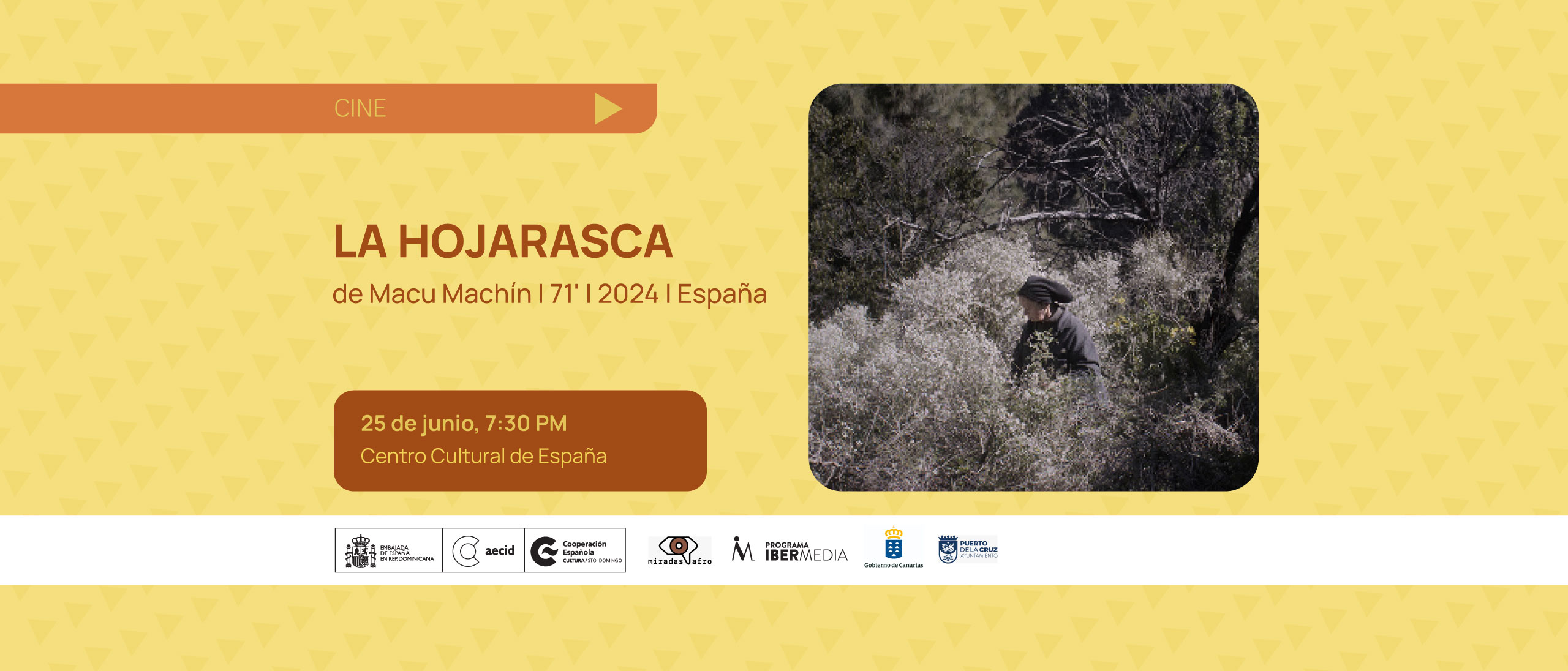 La hojarasca de Macu Machin