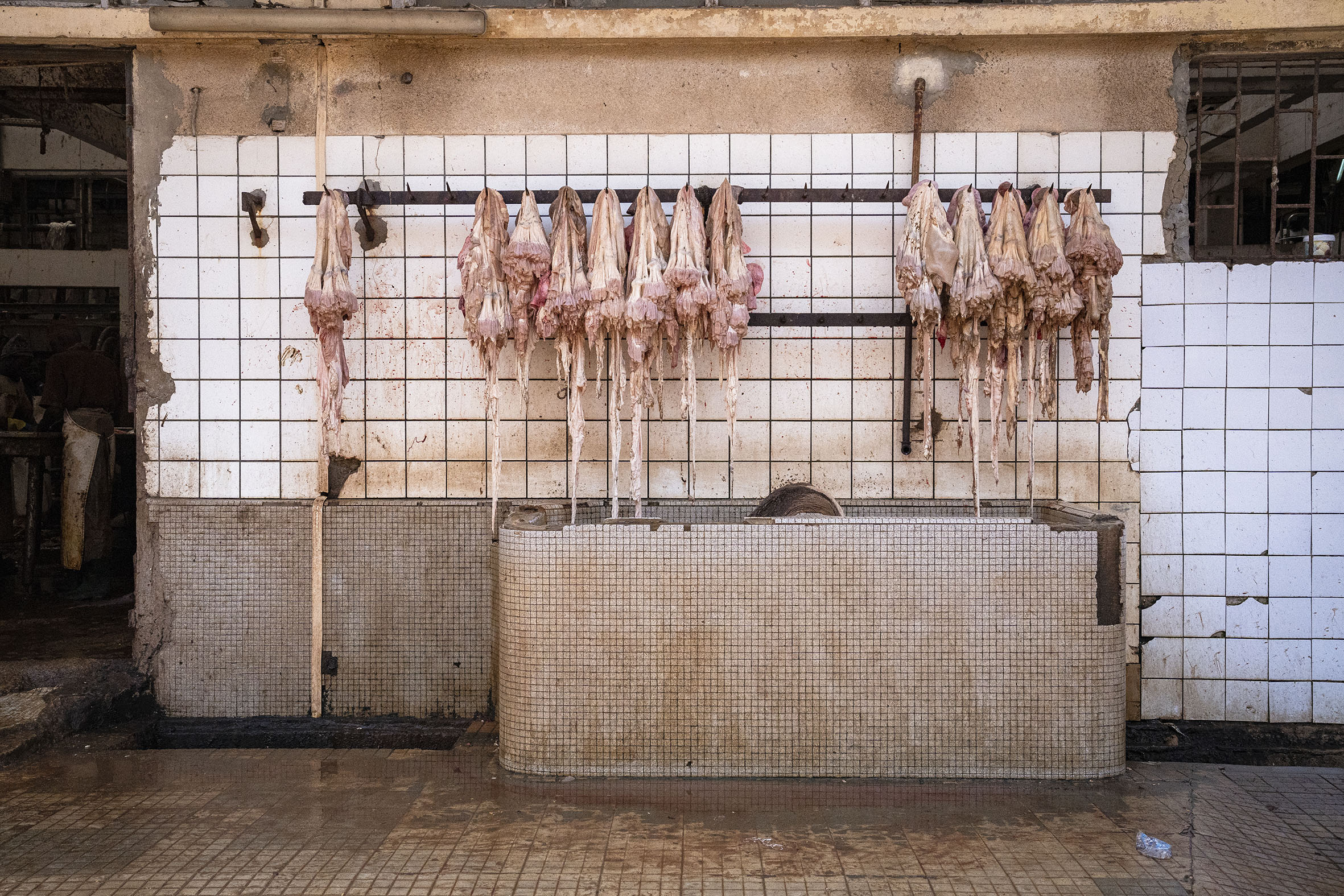 Mesa de tratamiento e inspección de vísceras en el matadero de Pikine. \u201cLas 13 toneladas de residuos sólidos diarios que se pueden recuperar sumadas a una parte de los desechos líquidos convierten a este matadero en el lugar idóneo para una planta de biogás\u201d, añade Lamine Ndiaye, ingeniero agrónomo y autor del estudio de viabilidad técnico-económico para la creación de una unidad de biogás industrial en la villa de Pikine. © Marta Moreiras